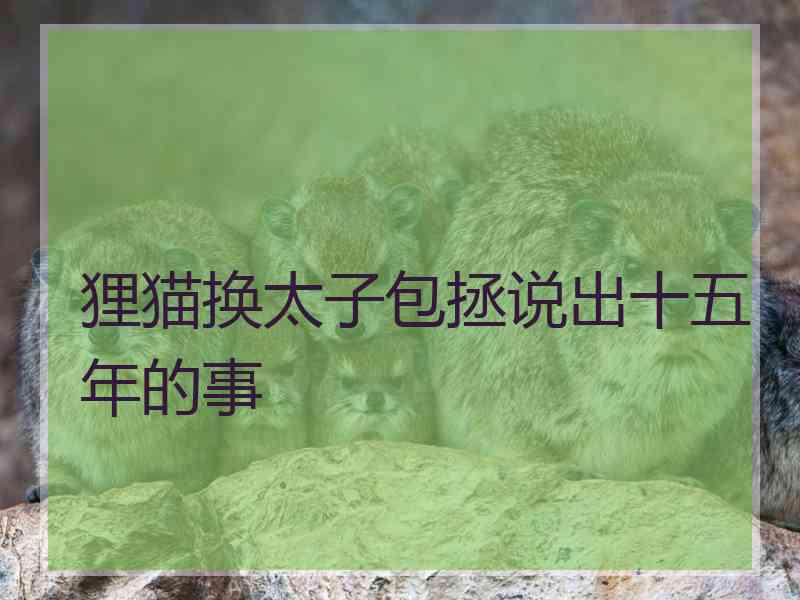 狸猫换太子包拯说出十五年的事 狸猫换太子包拯说出十五年的事