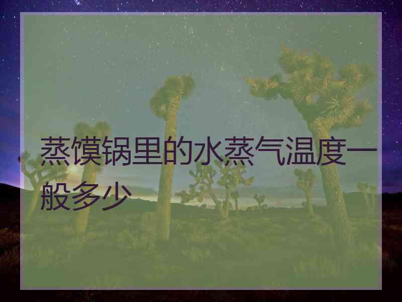 蒸馍锅里的水蒸气温度一般多少 蒸馍锅里的水蒸气温度一般多少