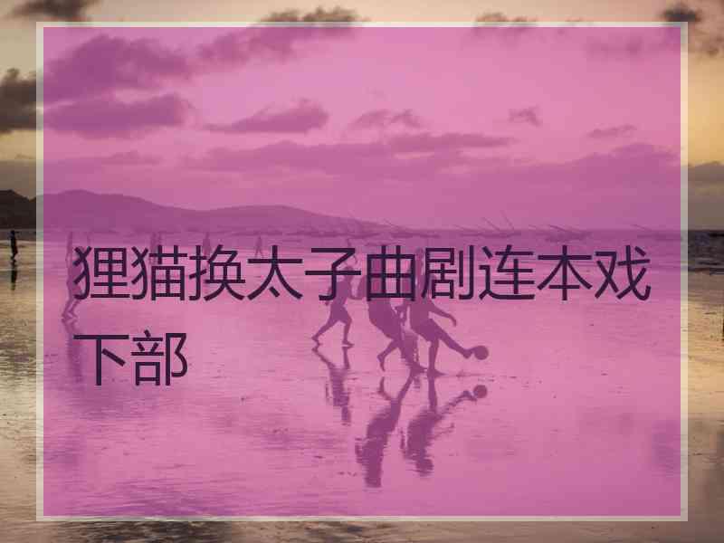狸猫换太子曲剧连本戏下部 狸猫换太子曲剧连本戏下部