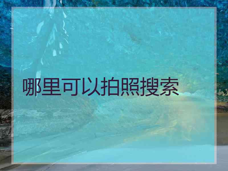哪里可以拍照搜索 哪里可以拍照搜索