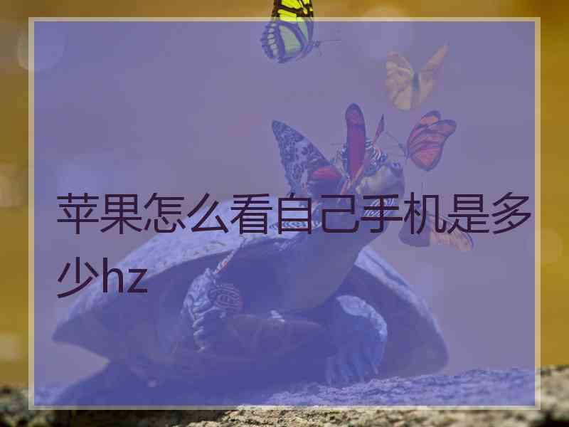 苹果怎么看自己手机是多少hz 苹果怎么看自己手机是多少hz