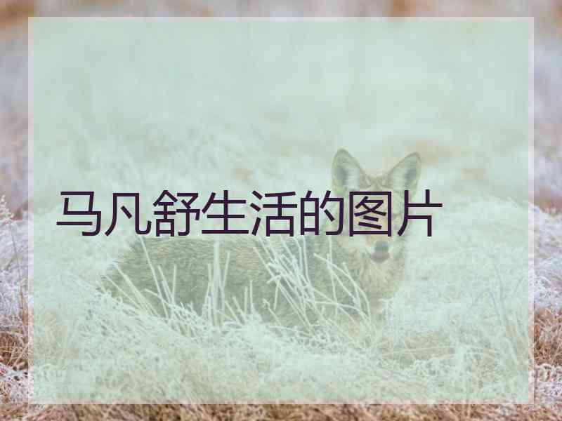 马凡舒生活的图片 马凡舒生活的图片