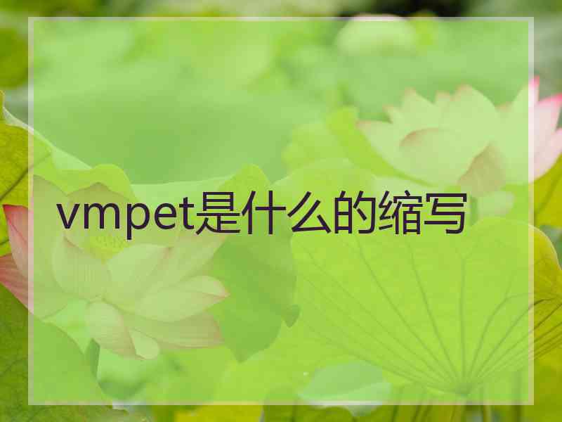 vmpet是什么的缩写 vmpet是什么的缩写