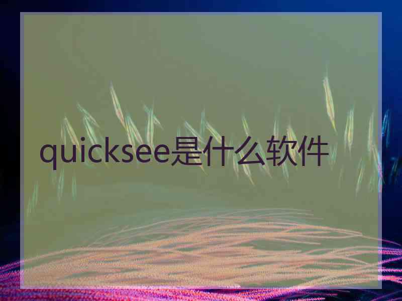 quicksee是什么软件