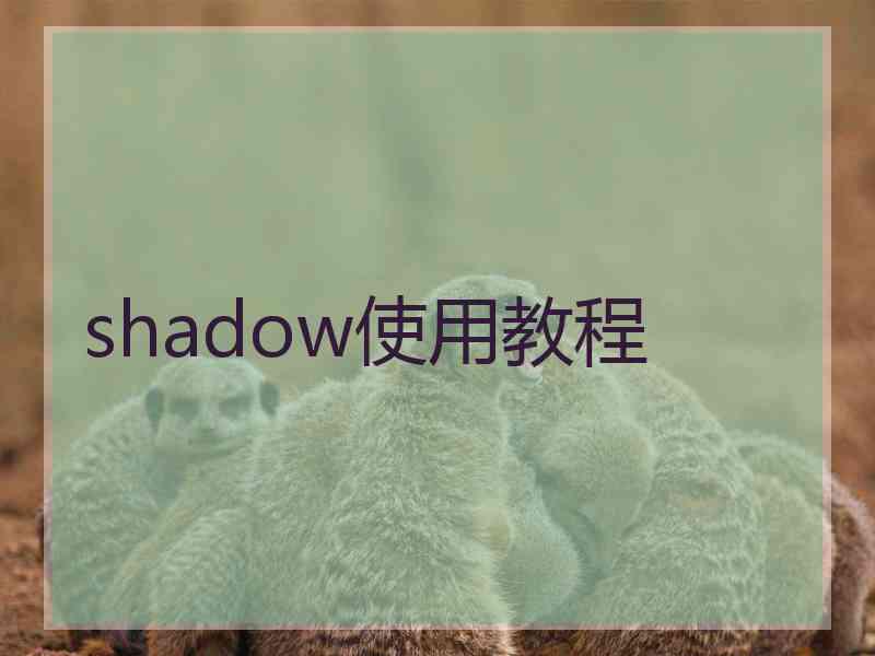 shadow使用教程