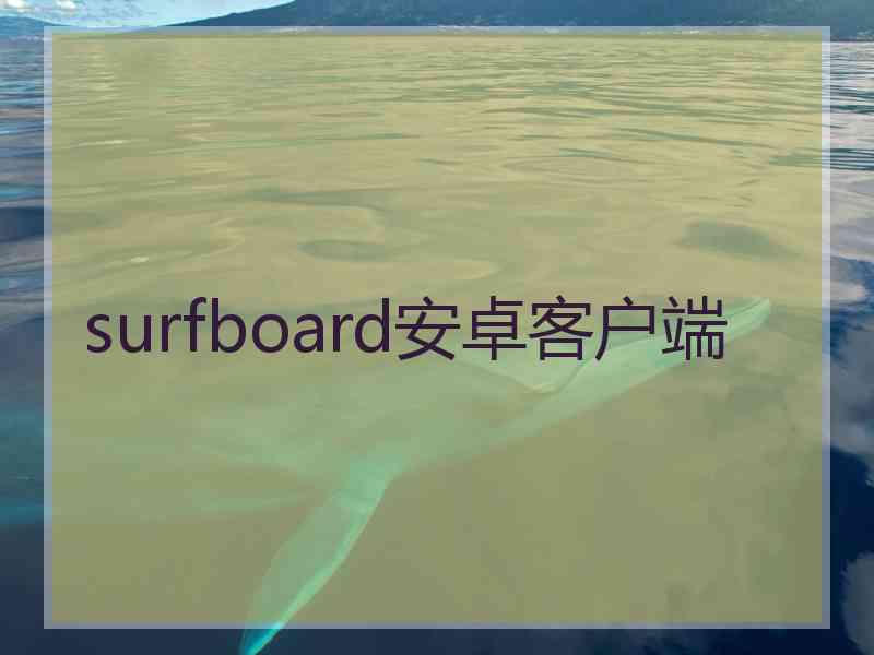 surfboard安卓客户端