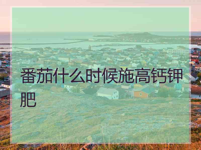 番茄什么时候施高钙钾肥 番茄什么时候施高钙钾肥
