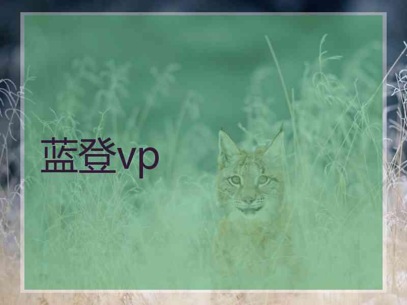 蓝登vp 蓝登vp