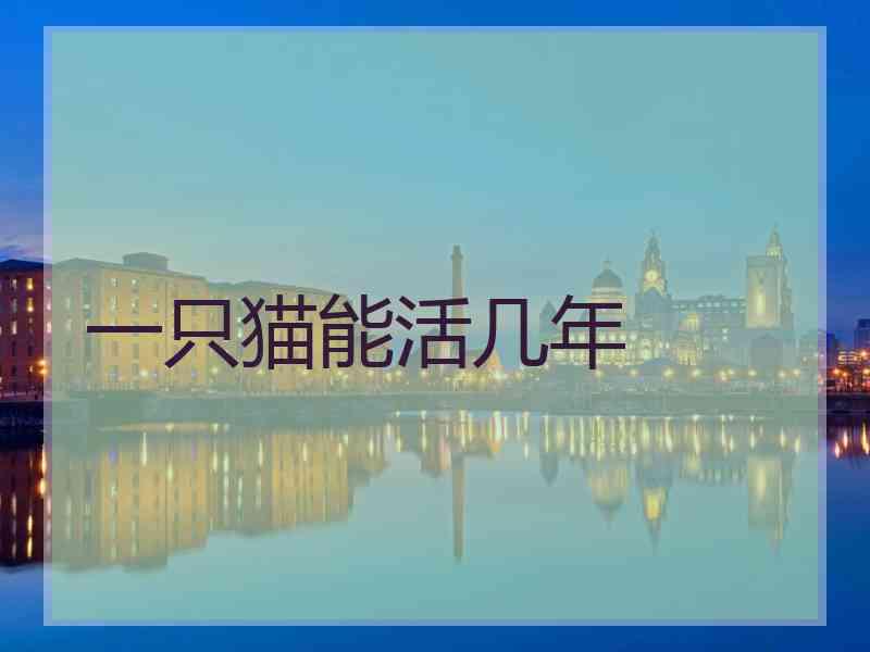 一只猫能活几年 一只猫能活几年