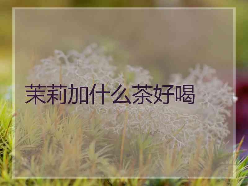 茉莉加什么茶好喝 茉莉加什么茶好喝