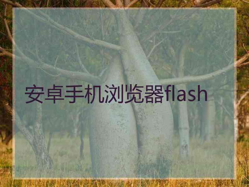 安卓手机浏览器flash