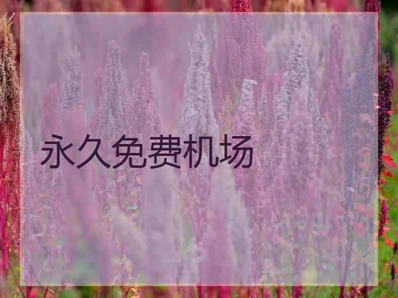 永久免费机场 永久免费机场