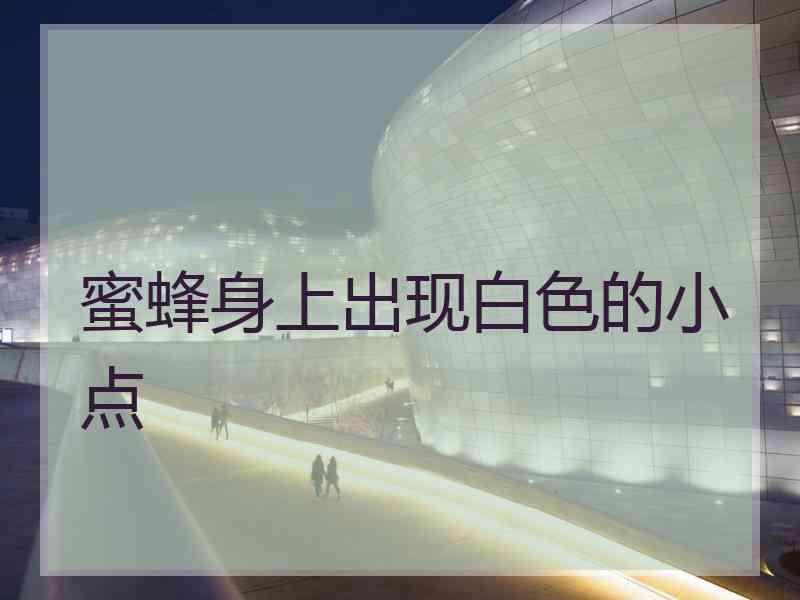 蜜蜂身上出现白色的小点 蜜蜂身上出现白色的小点