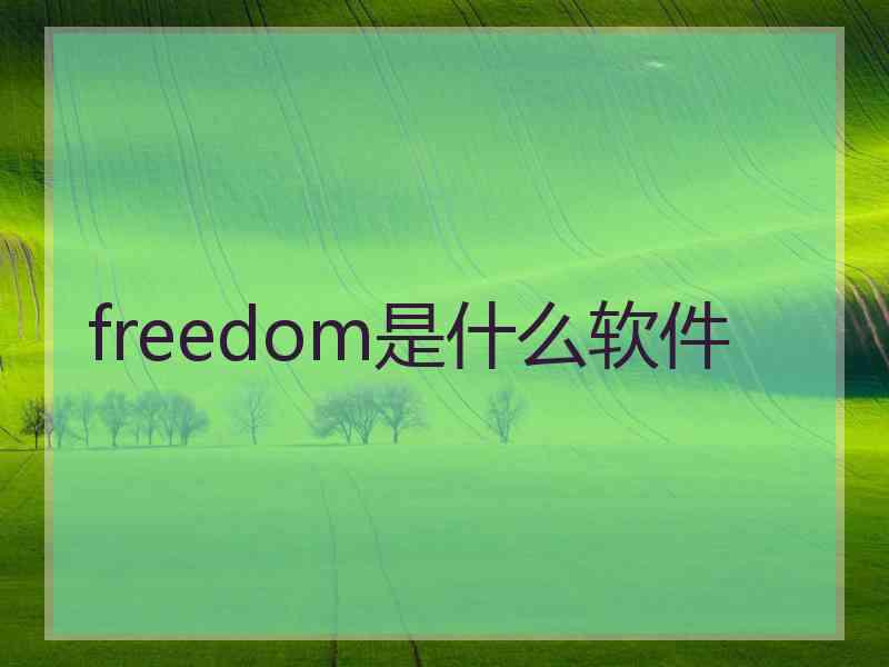 freedom是什么软件