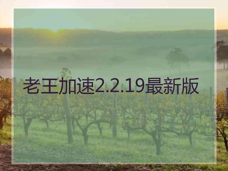 老王加速2.2.19最新版
