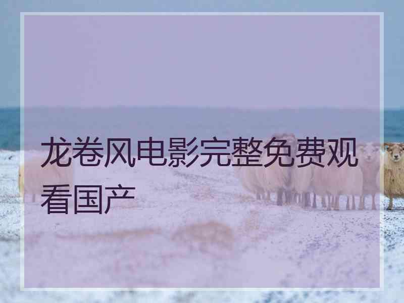 龙卷风电影完整免费观看国产 龙卷风电影完整免费观看国产