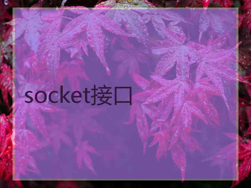 socket接口 socket接口