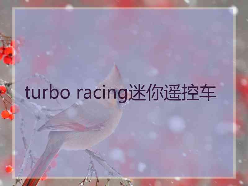 turbo racing迷你遥控车