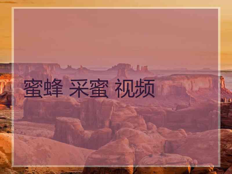 蜜蜂 采蜜 视频 蜜蜂 采蜜 视频