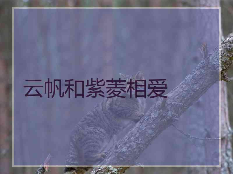 云帆和紫菱相爱 云帆和紫菱相爱