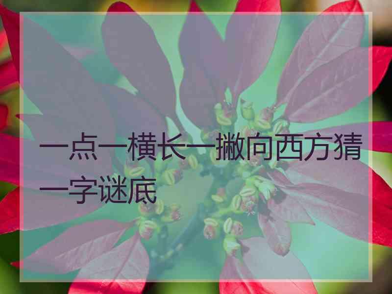 一点一横长一撇向西方猜一字谜底 一点一横长一撇向西方猜一字谜底
