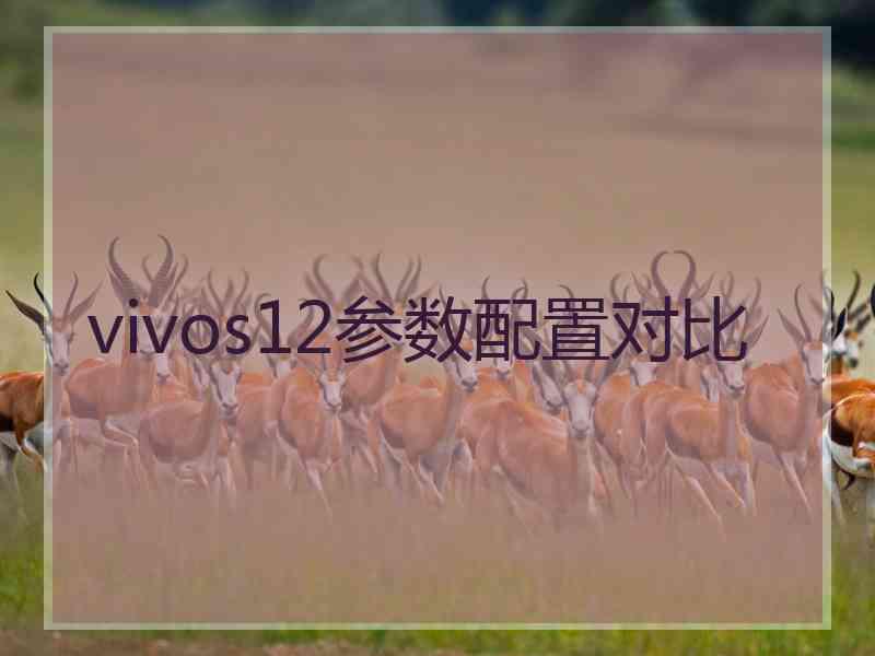 vivos12参数配置对比 vivos12参数配置对比