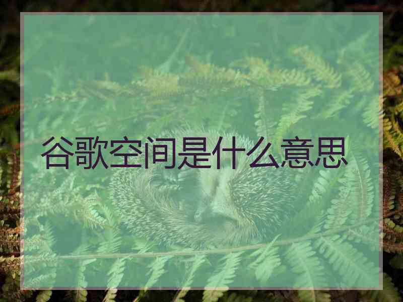 谷歌空间是什么意思 谷歌空间是什么意思