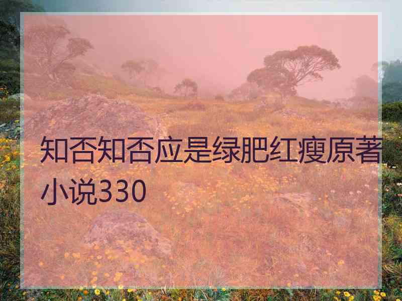 知否知否应是绿肥红瘦原著小说330 知否知否应是绿肥红瘦原著小说330