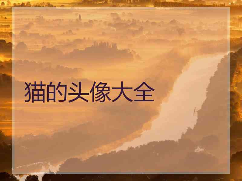 猫的头像大全 猫的头像大全