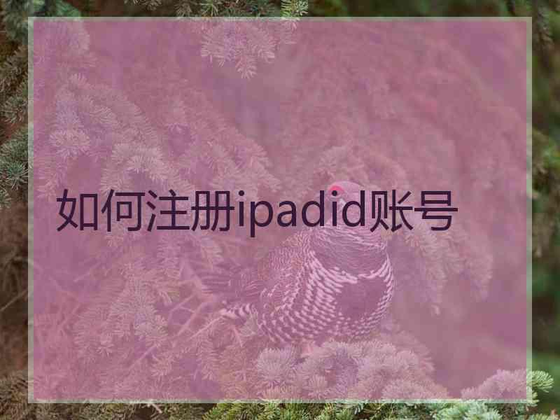 如何注册ipadid账号 如何注册ipadid账号