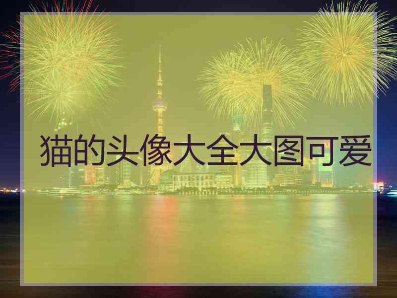 猫的头像大全大图可爱 猫的头像大全大图可爱