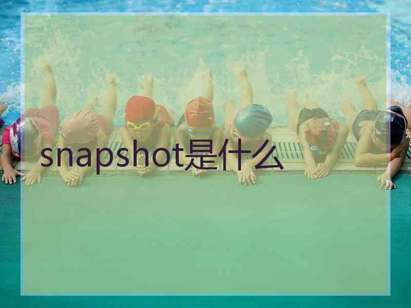 snapshot是什么