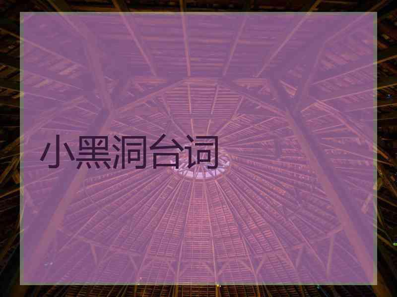 小黑洞台词 小黑洞台词