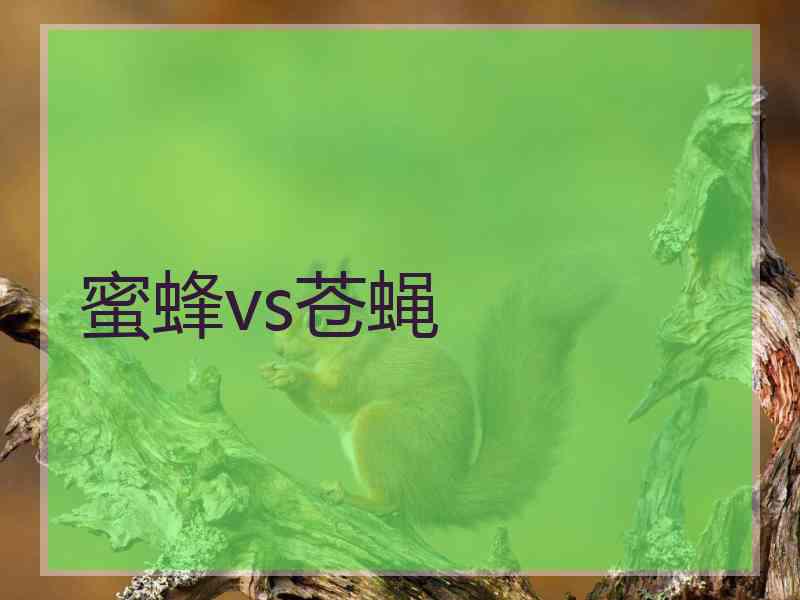 蜜蜂vs苍蝇 蜜蜂vs苍蝇