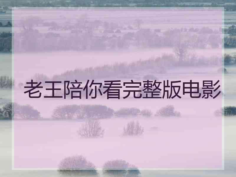 老王陪你看完整版电影 老王陪你看完整版电影