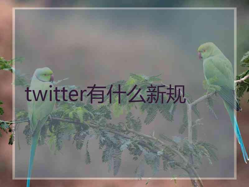 twitter有什么新规 twitter有什么新规