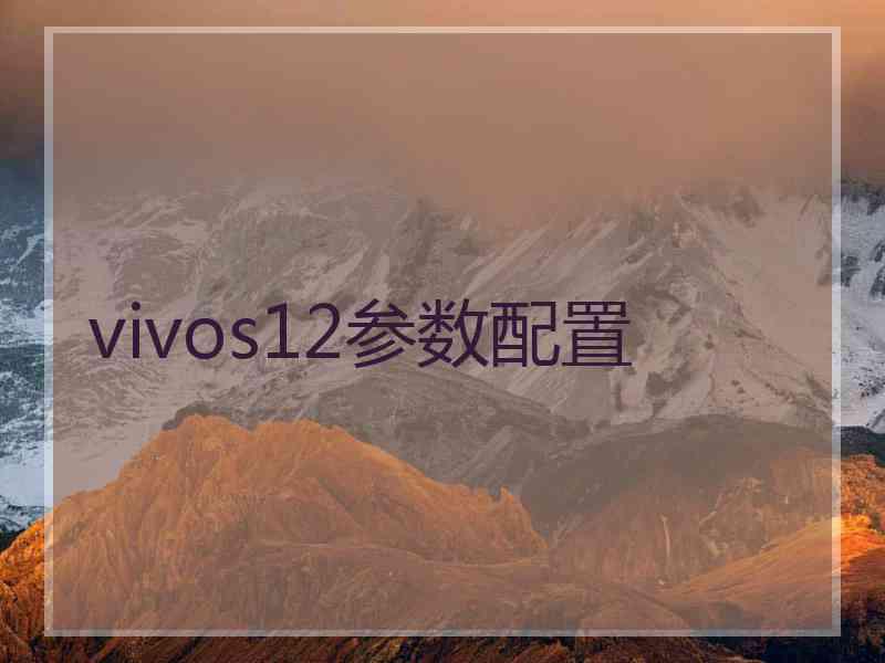 vivos12参数配置 vivos12参数配置