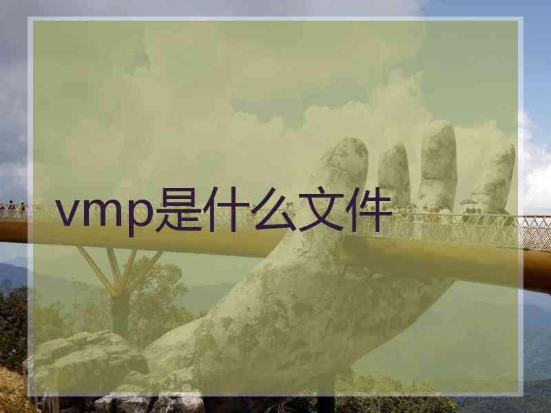 vmp是什么文件 vmp是什么文件