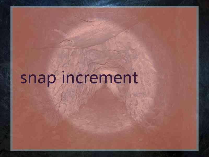 snap increment