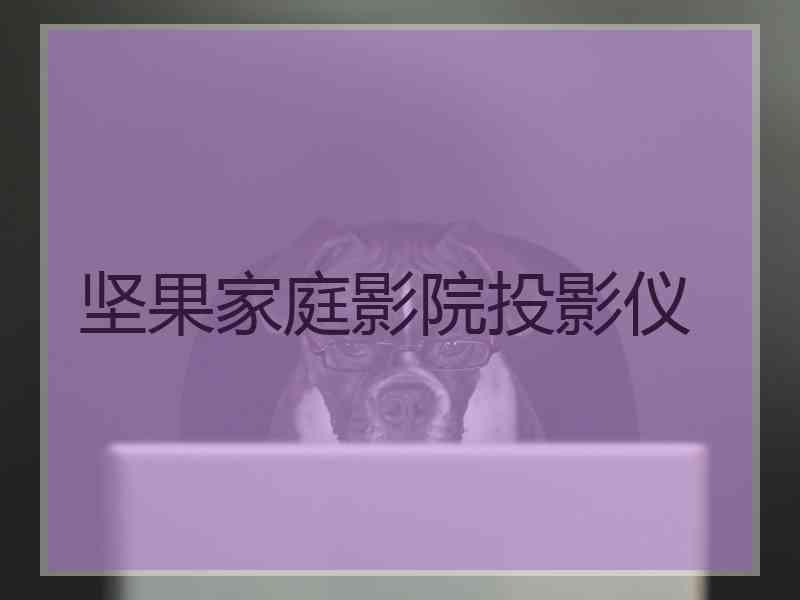 坚果家庭影院投影仪 坚果家庭影院投影仪
