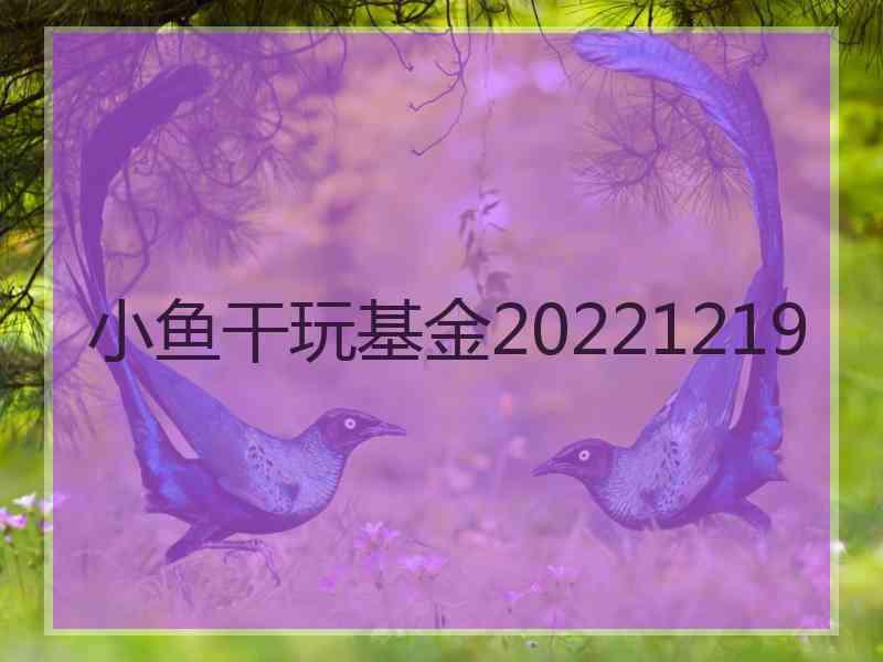 小鱼干玩基金20221219 小鱼干玩基金20221219