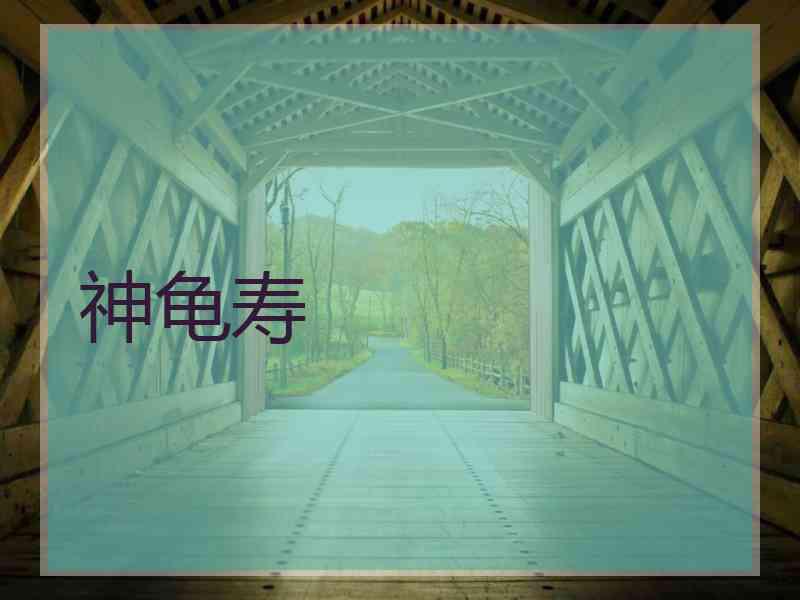 神龟寿 神龟寿