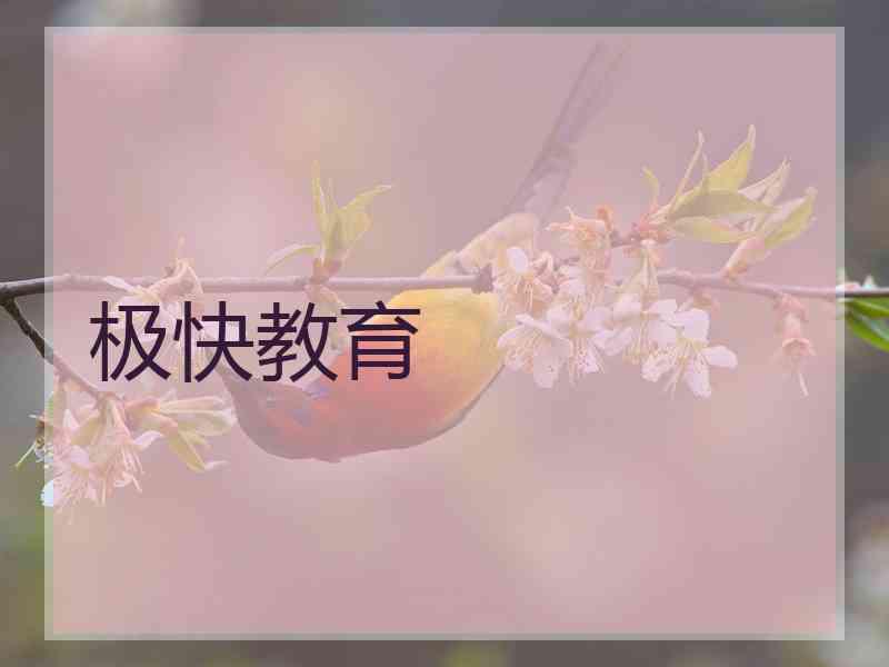 极快教育 极快教育