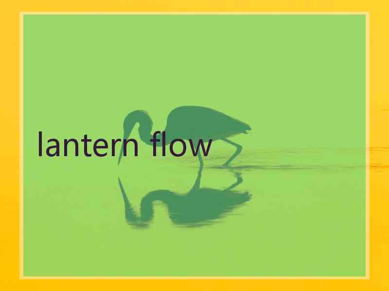 lantern flow