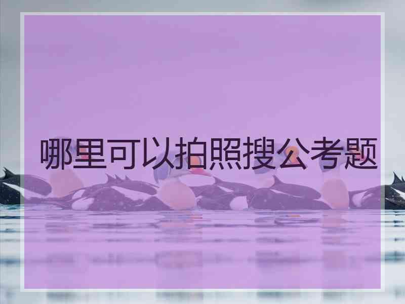 哪里可以拍照搜公考题 哪里可以拍照搜公考题