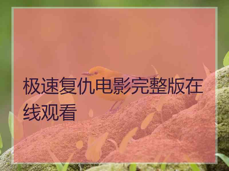 极速复仇电影完整版在线观看 极速复仇电影完整版在线观看