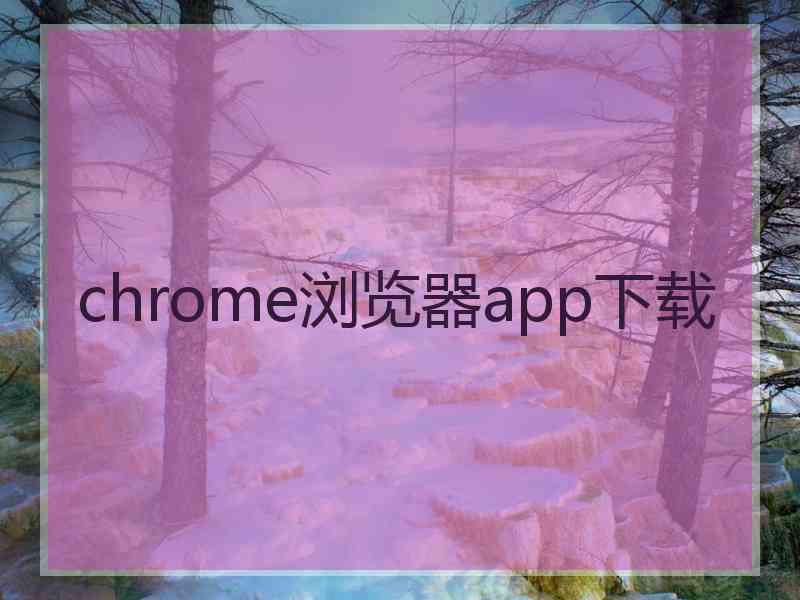 chrome浏览器app下载 chrome浏览器app下载