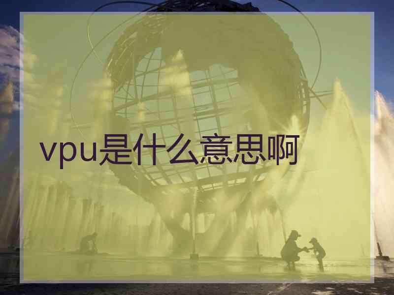 vpu是什么意思啊 vpu是什么意思啊