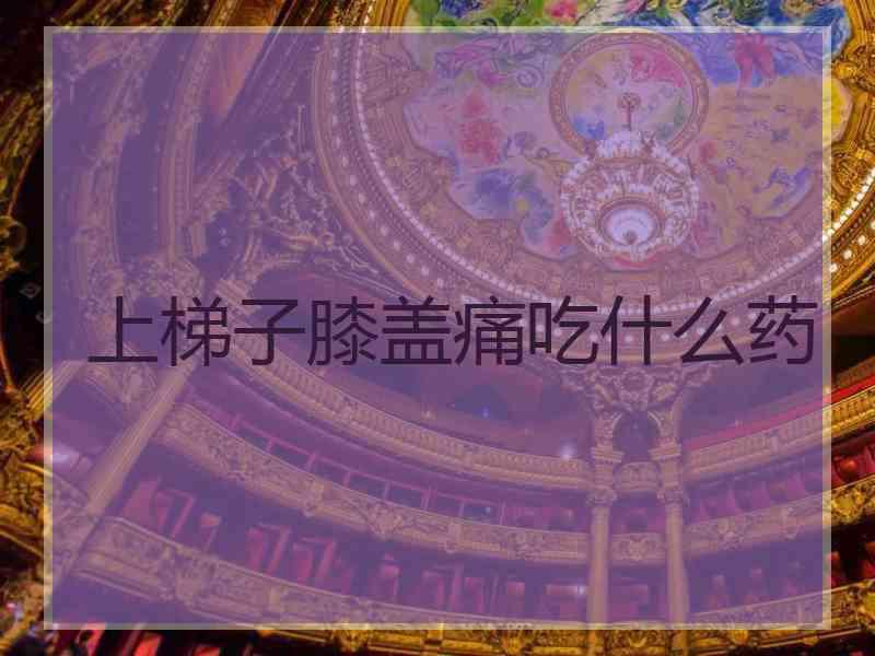 上梯子膝盖痛吃什么药 上梯子膝盖痛吃什么药