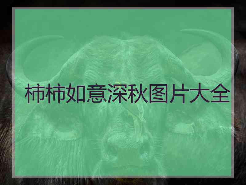 柿柿如意深秋图片大全 柿柿如意深秋图片大全